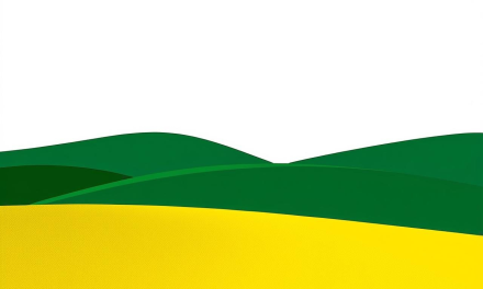 BARRANQUITAS